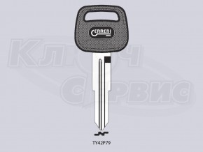 TOYO10P1_TY42P79_TOY42P/TOY30AP_TY49P авто пластик