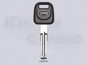 SSA1P1_SSA2P107_SSY3P_x   авто пластик
