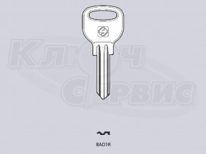 x_x_BAD1R_x  англ. типа, рус. прог.