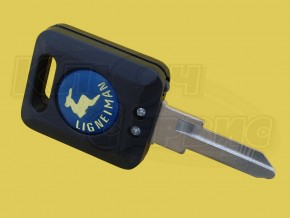NE20NP подстветка, Китай