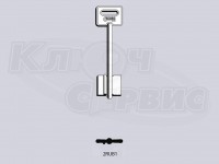 RUB1G_2RUB1_5DVN29_x  дверняк рус. прог.