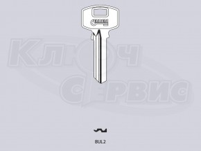 BUL2D_BUL2_x_x англ. типа, имп. прог. (universal)