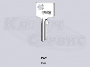 BUR5D_BG25_BUR21_BRG29 англ. типа, имп. прог.