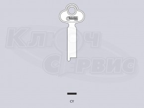x_CY_x_x англ. типа, имп. прог. (депозитарий)